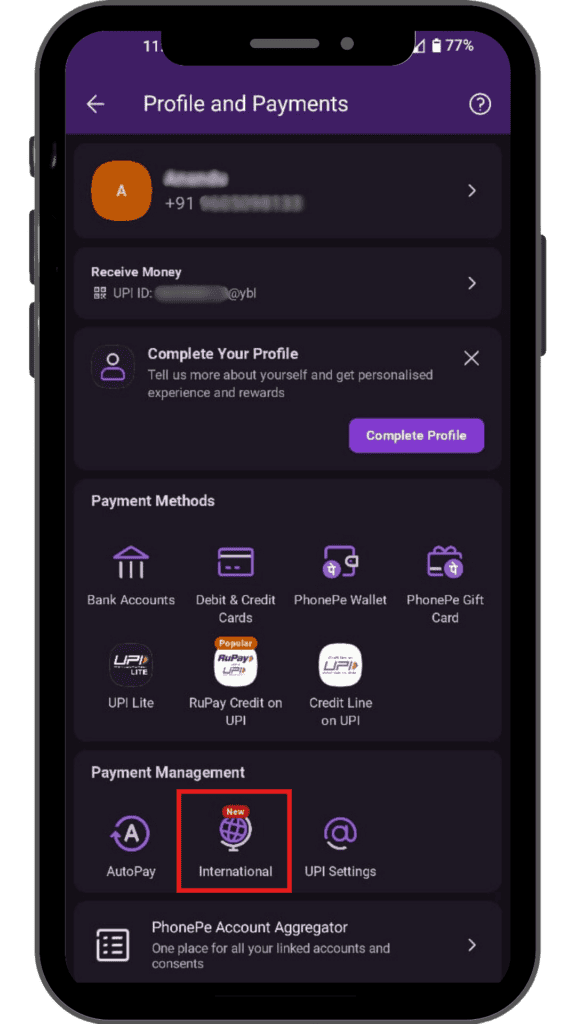 'Profile and Payments' section with 'International' option.
